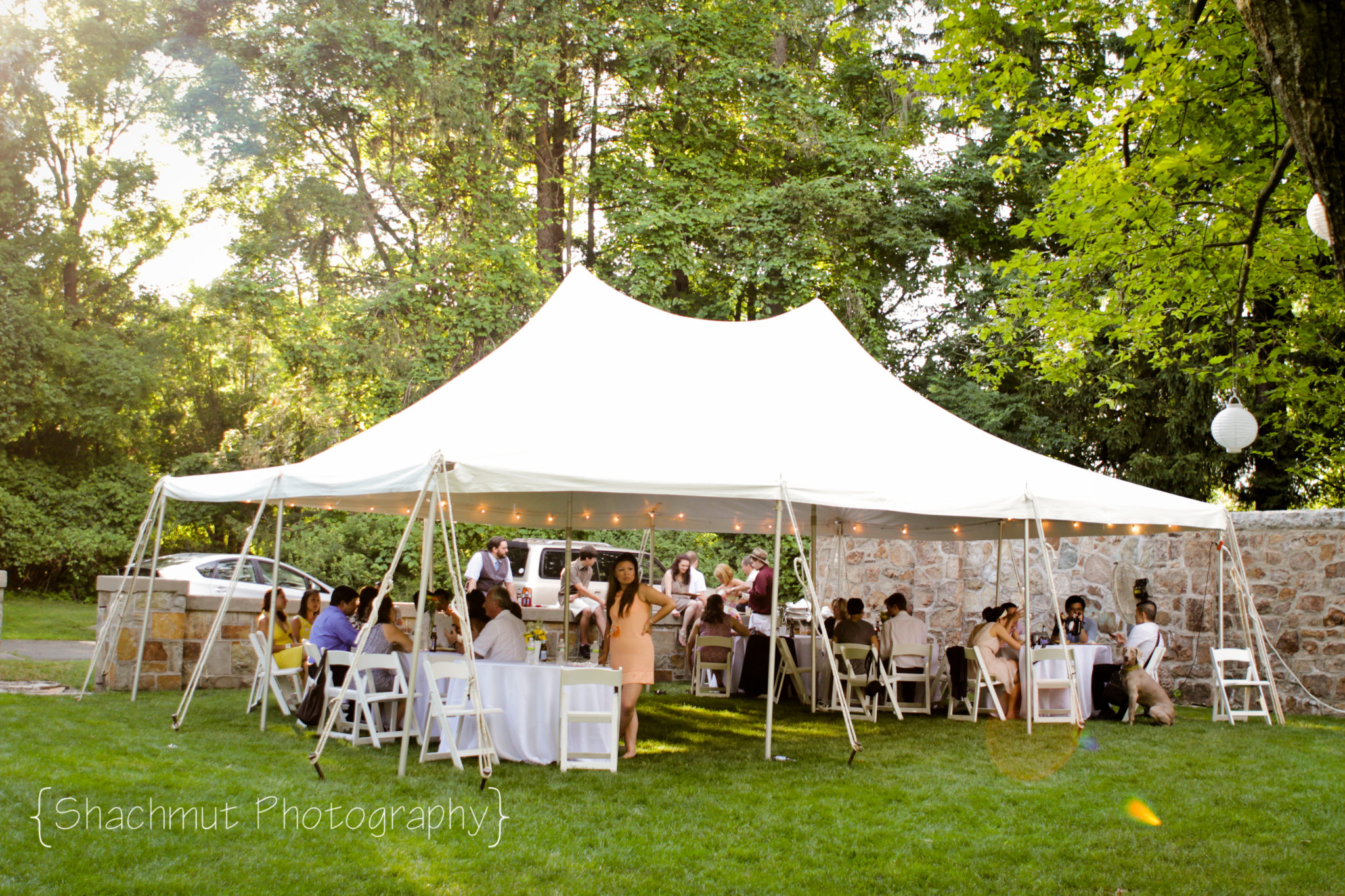 Tent rental for online graduation party near me